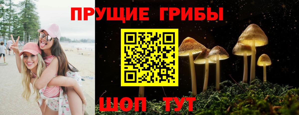 Вышний Волочёк  как найти закладки  Вход с VPN  Галлюциногенные грибы Magic Shrooms  Псилоцибиновые грибы MAGIC MUSHROOMS 