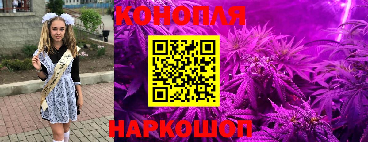 Бошки марихуана конопля  Каннабис Bruce Banner  Конопля марихуана  Вышний Волочёк  МАРИХУАНА Ganja  Вход с VPN 